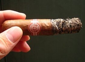 Fumer des cigares endommagés à la santé